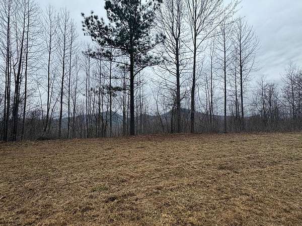 0.76 Acres of Residential Land for Sale in Young Harris, Georgia