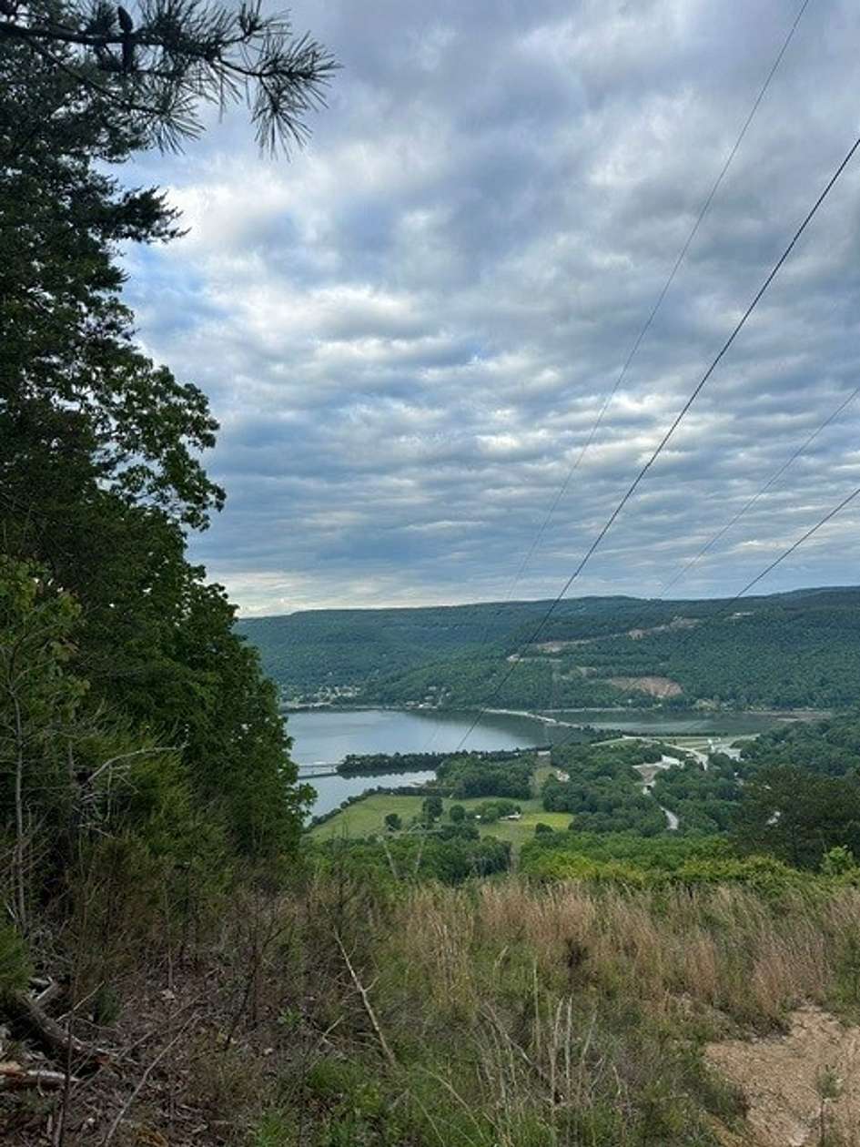 39.6 Acres of Recreational Land for Sale in South Pittsburg, Tennessee