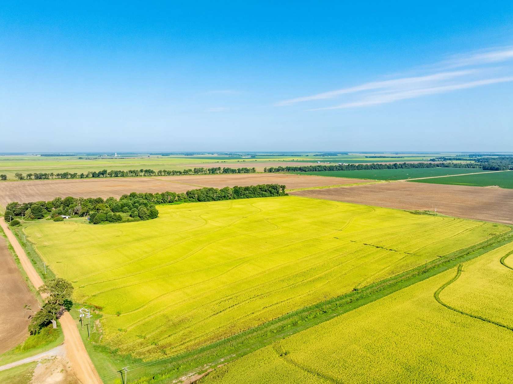 40 Acres of Recreational Land & Farm for Sale in Weiner, Arkansas