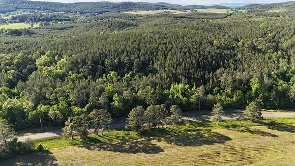 19.4 Acres of Recreational Land for Sale in Piedmont, Alabama