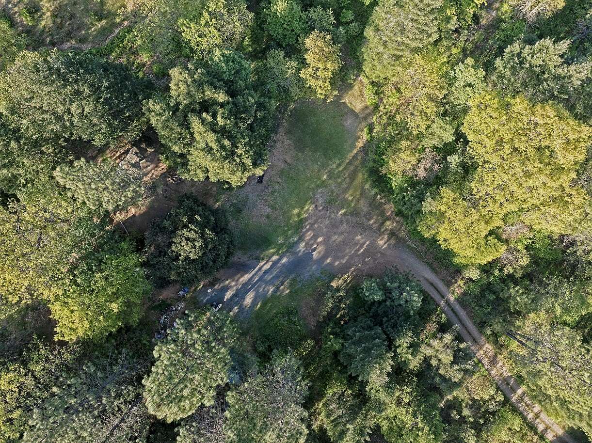 13 Acres of Recreational Land for Sale in Wolf Creek, Oregon