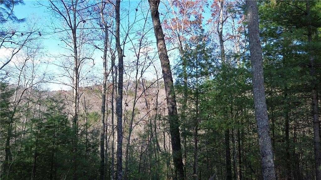 1.7 Acres of Land for Sale in Ranger, Georgia