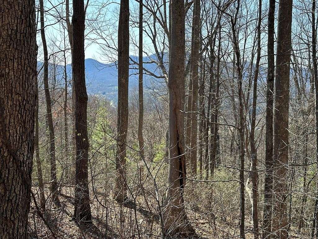 1.45 Acres of Land for Sale in Young Harris, Georgia