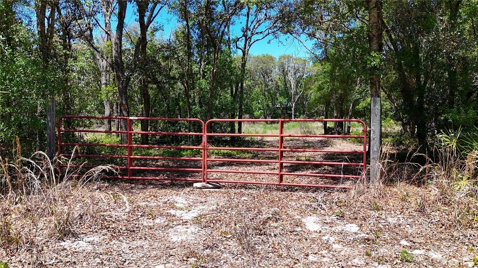 1.74 Acres of Residential Land for Sale in Webster, Florida