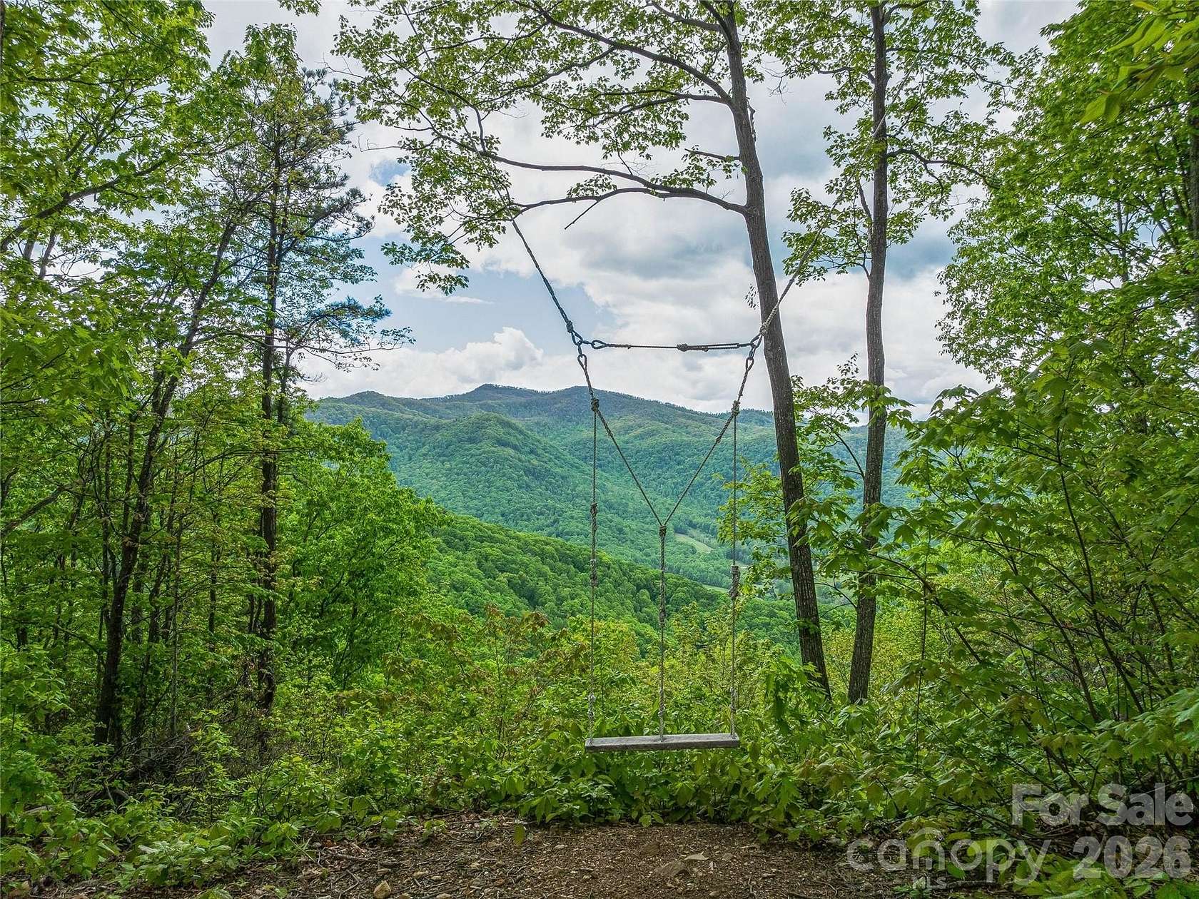 125 Acres of Recreational & Residential Land for Sale in Candler, North Carolina