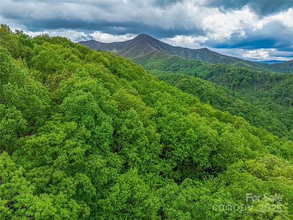 125 Acres of Recreational Land for Sale in Candler, North Carolina