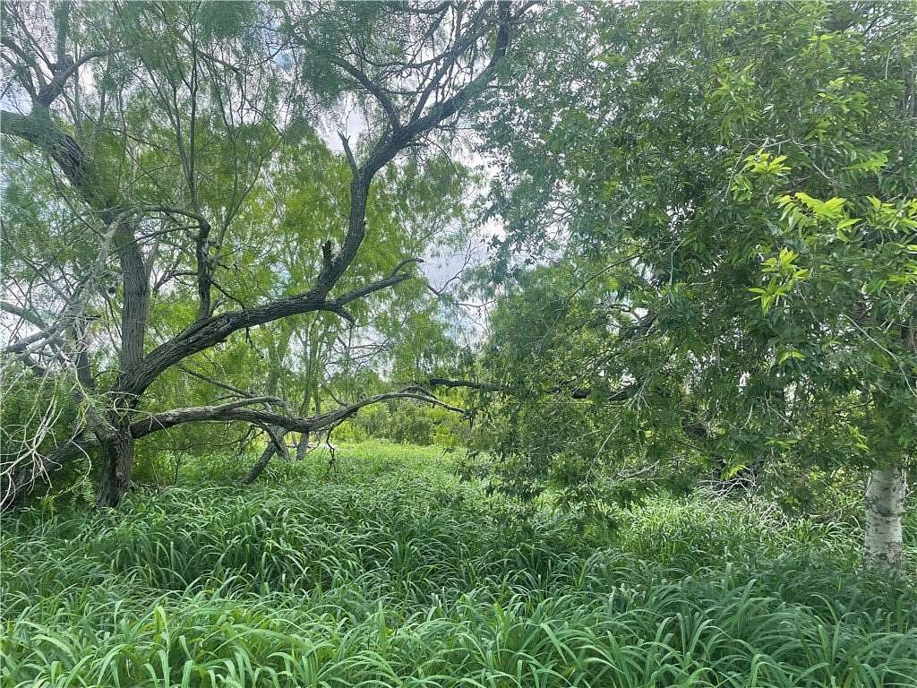 Land for Sale in Mathis, Texas