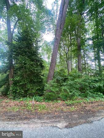 2 Acres of Residential Land for Sale in Ruther Glen, Virginia