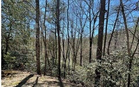 1.4 Acres of Land for Sale in Warne, North Carolina