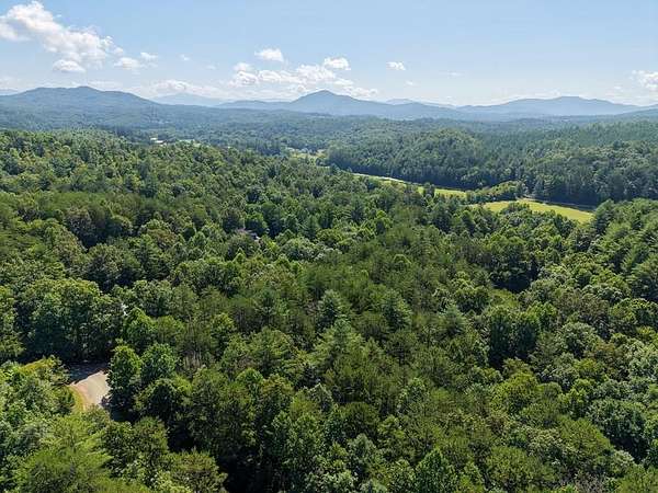 1.4 Acres of Land for Sale in Warne, North Carolina