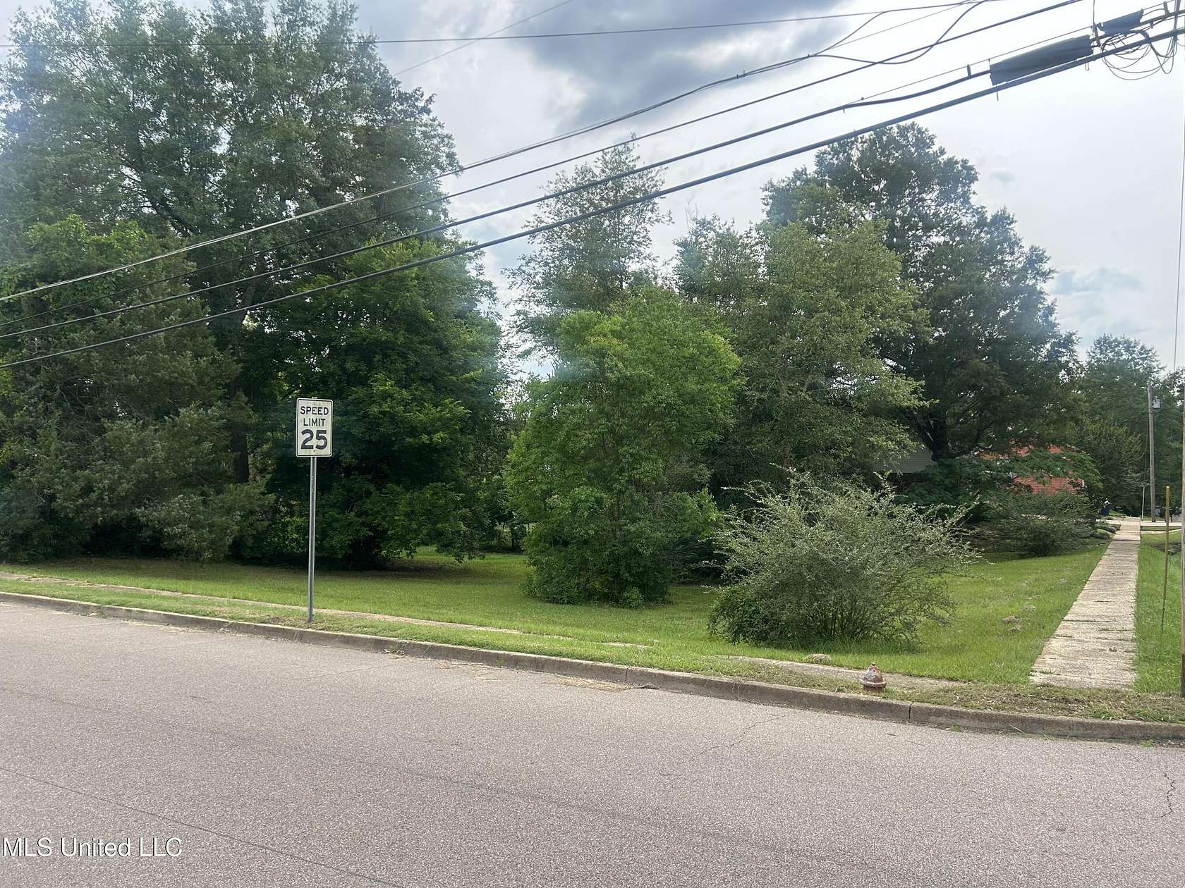 0.25 Acres of Residential Land for Sale in Mendenhall, Mississippi