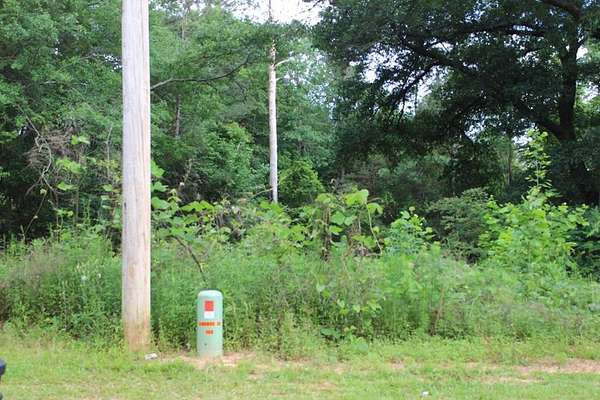 Residential Land for Sale in Lumpkin, Georgia