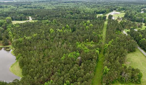 19.8 Acres of Recreational Land for Sale in Bailey, Mississippi