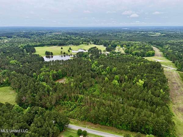 19.8 Acres of Recreational Land for Sale in Daleville, Mississippi