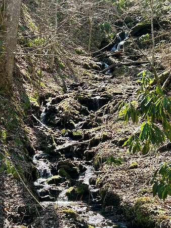 1.14 Acres of Land for Sale in Whittier, North Carolina