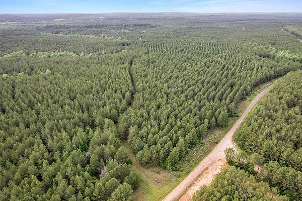 67 Acres of Recreational Land for Sale in San Augustine, Texas