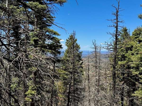 7.57 Acres of Land for Sale in Westcliffe, Colorado