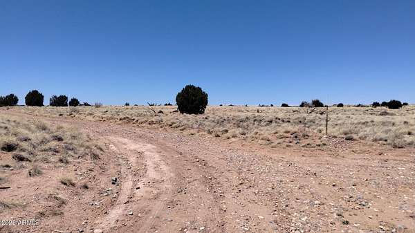 6 Acres of Land for Sale in Heber, Arizona