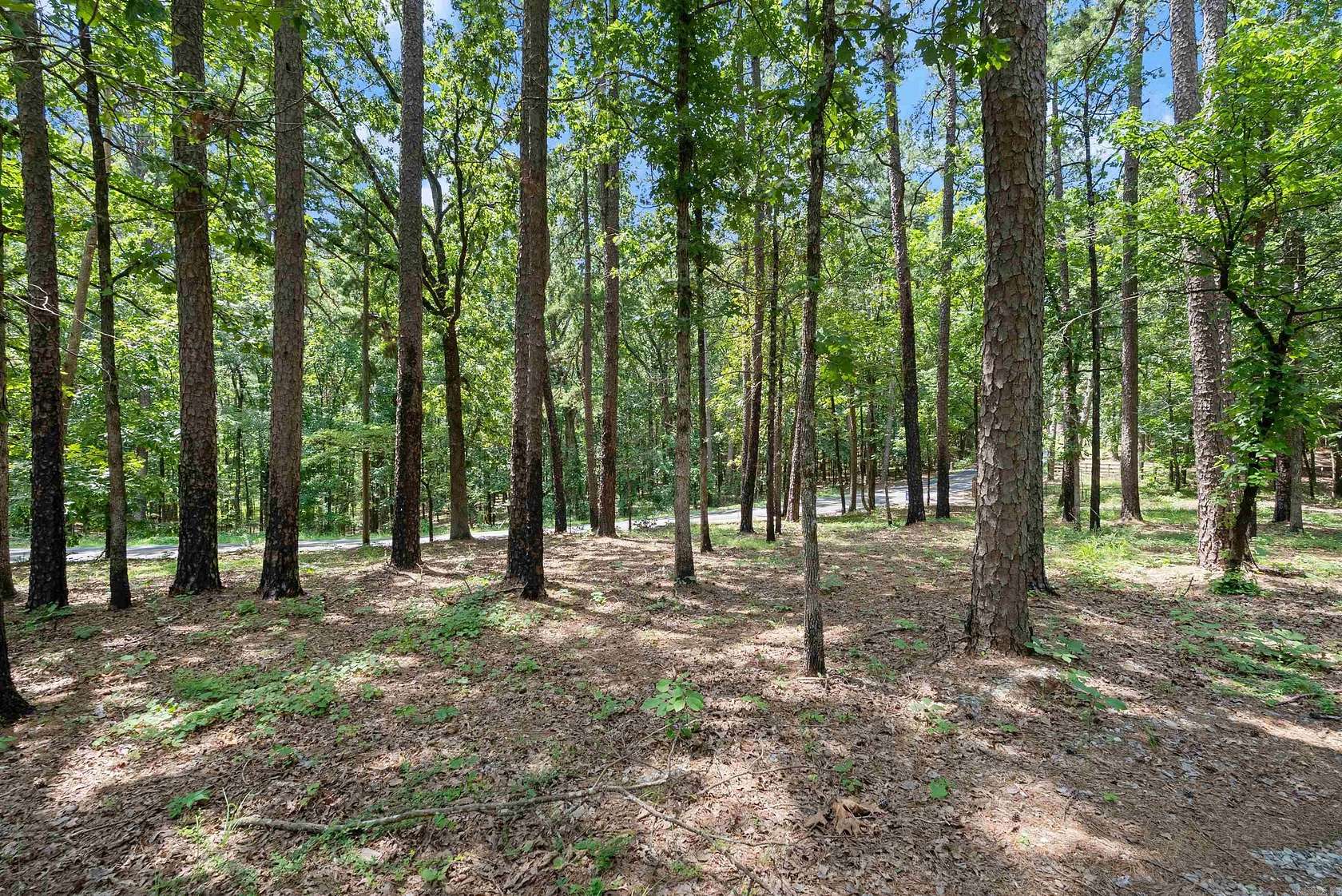 25 Acres of Recreational & Residential Land for Sale in Little Rock, Arkansas