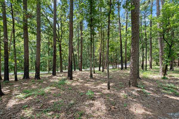 25 Acres of Recreational & Residential Land for Sale in Little Rock, Arkansas