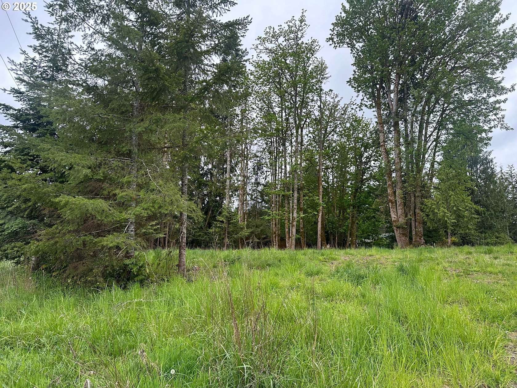 Residential Land for Sale in Vernonia, Oregon