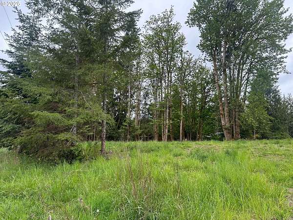 Residential Land for Sale in Vernonia, Oregon