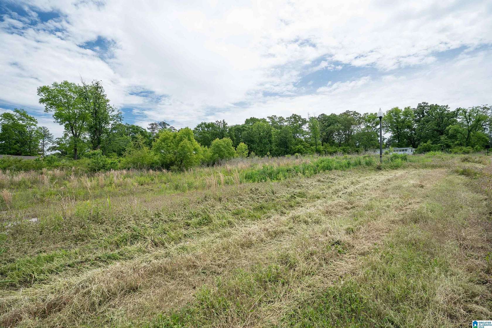 0.46 Acres of Residential Land for Sale in Hoover, Alabama