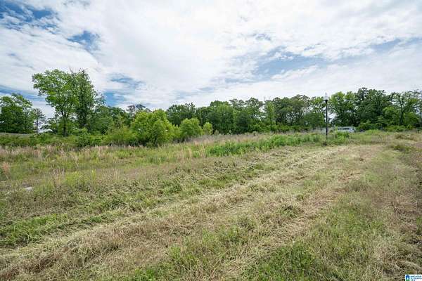 0.46 Acres of Residential Land for Sale in Hoover, Alabama