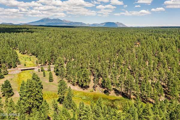 20 Acres of Recreational Land for Sale in Flagstaff, Arizona