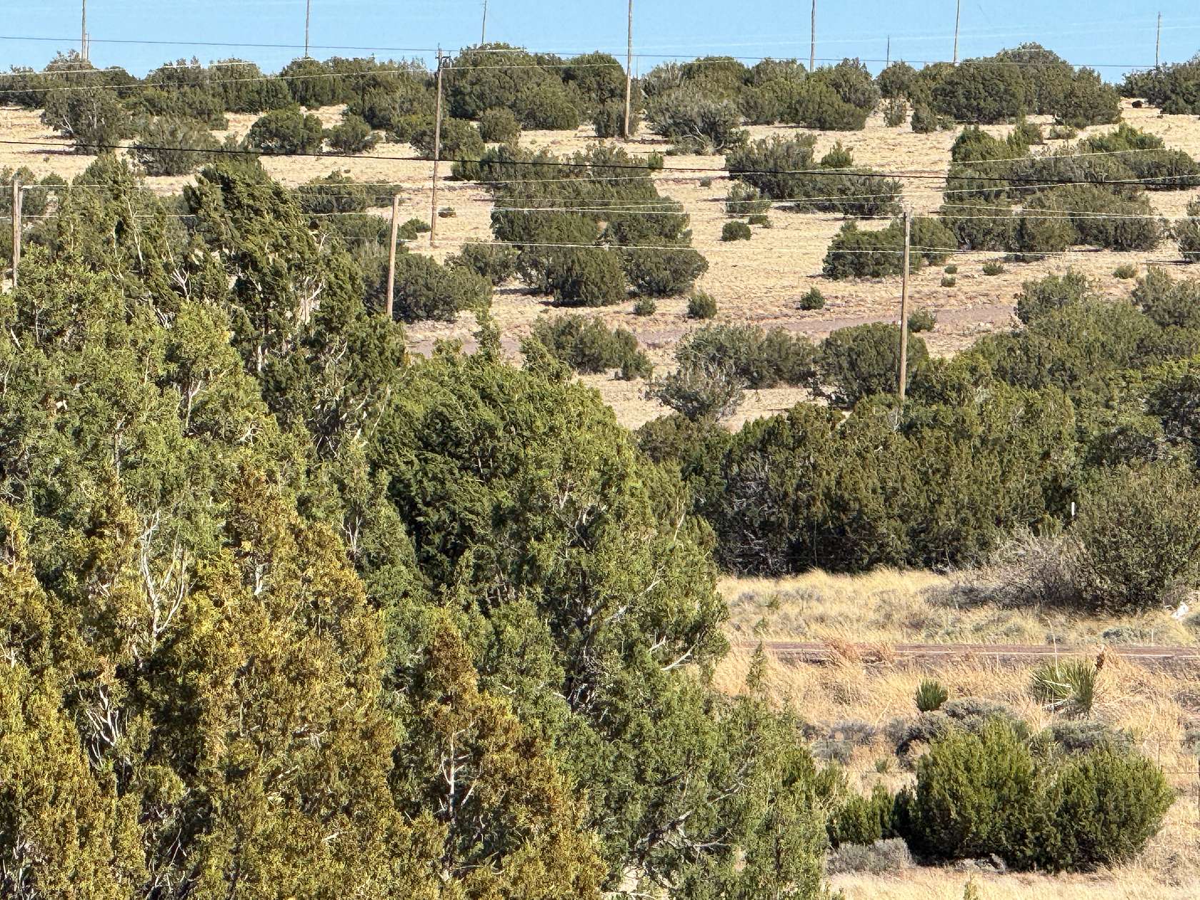 1.1 Acres of Residential Land for Sale in Concho, Arizona