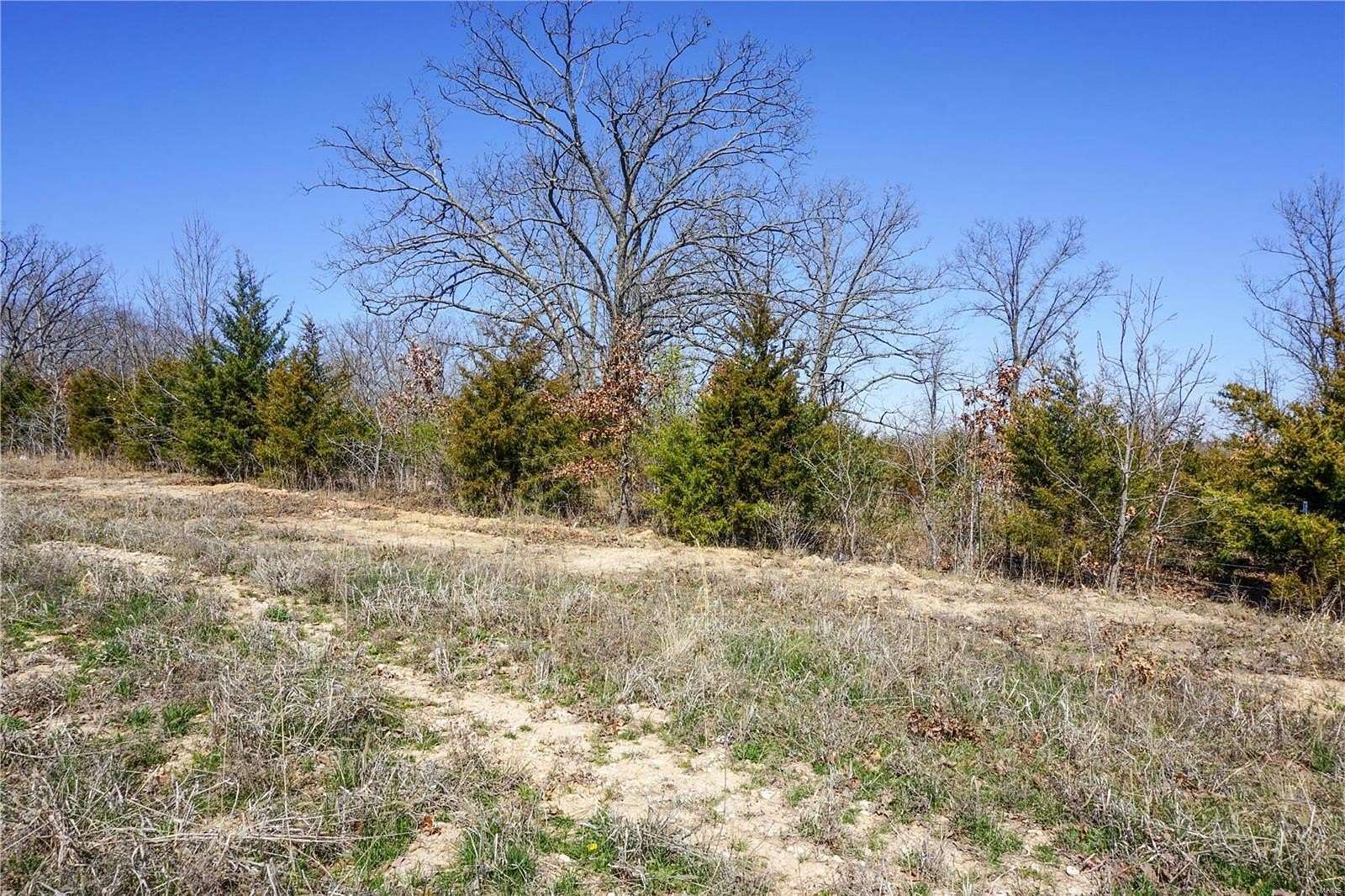 35.4 Acres of Recreational Land & Farm for Sale in Newburg, Missouri