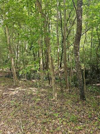 2 Acres of Residential Land for Sale in Johns Island, South Carolina
