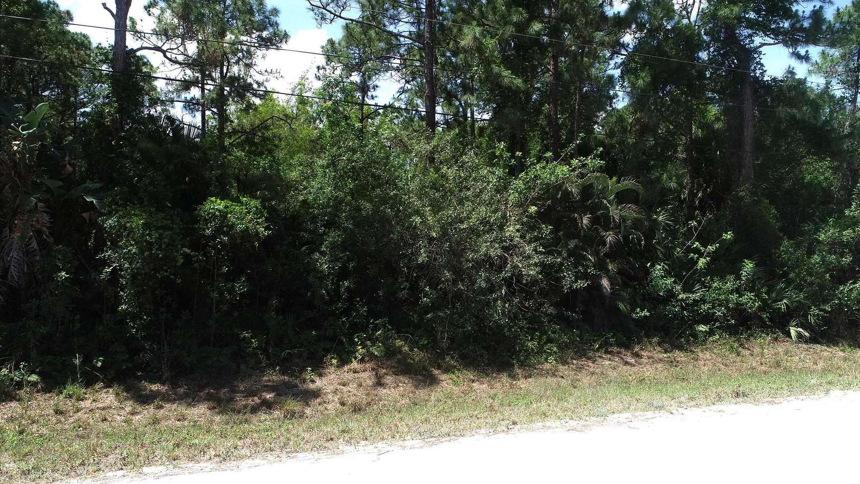 1.3 Acres of Residential Land for Sale in The Acreage, Florida