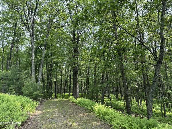 12.3 Acres of Land for Sale in Milford, Pennsylvania