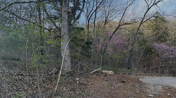 0.14 Acres of Residential Land for Sale in Lampe, Missouri