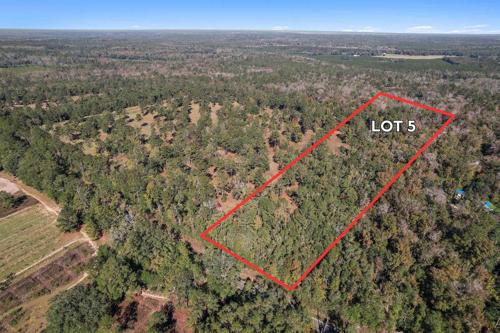 31.2 Acres of Land for Sale in Monticello, Florida