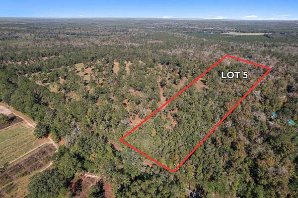 31.2 Acres of Land for Sale in Monticello, Florida