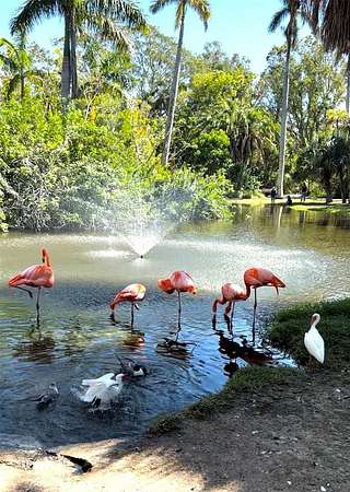 0.38 Acres of Residential Land for Sale in Rotonda West, Florida