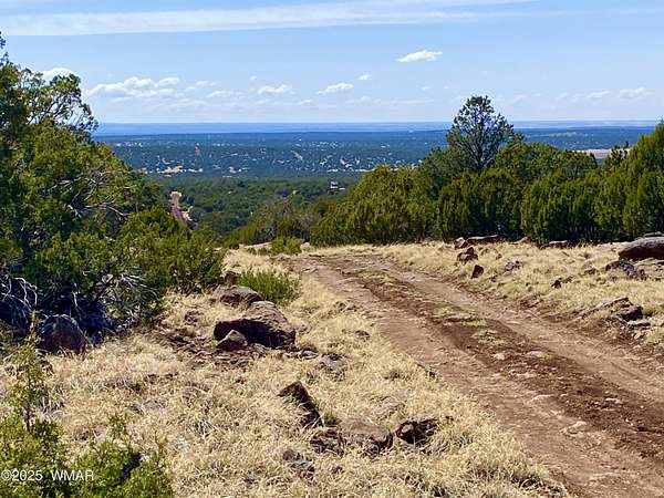 1.16 Acres of Residential Land for Sale in Concho, Arizona