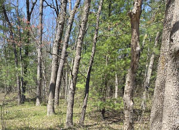 1 Acre of Land for Sale in Bitely, Michigan