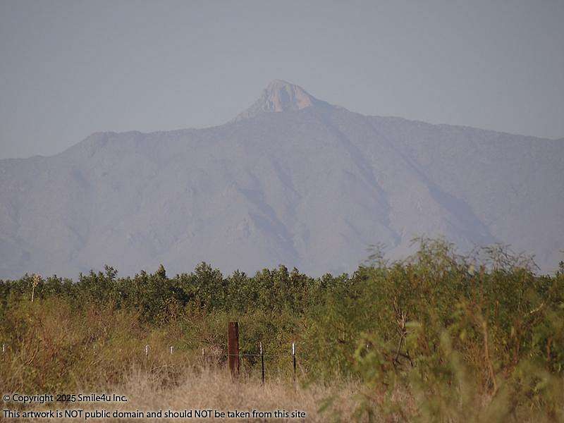 2.5 Acres of Residential Land for Sale in Deming, New Mexico