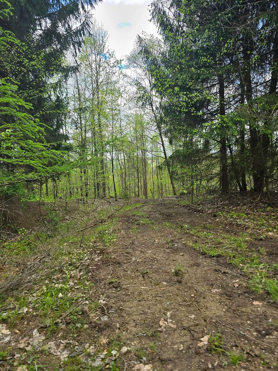 415 Acres of Recreational Land for Sale in Mayport, Pennsylvania