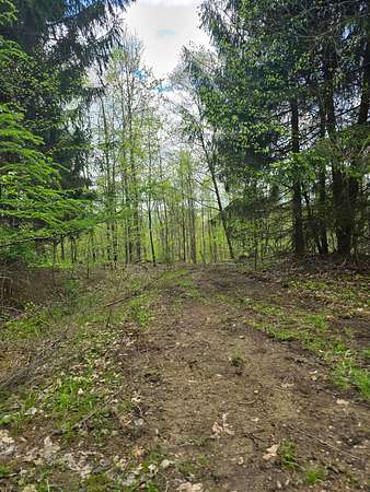 415 Acres of Recreational Land for Sale in Mayport, Pennsylvania