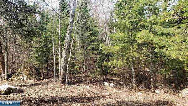 0.35 Acres of Land for Sale in Cook, Minnesota