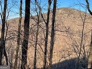 2.63 Acres of Residential Land for Sale in Cleveland, Georgia