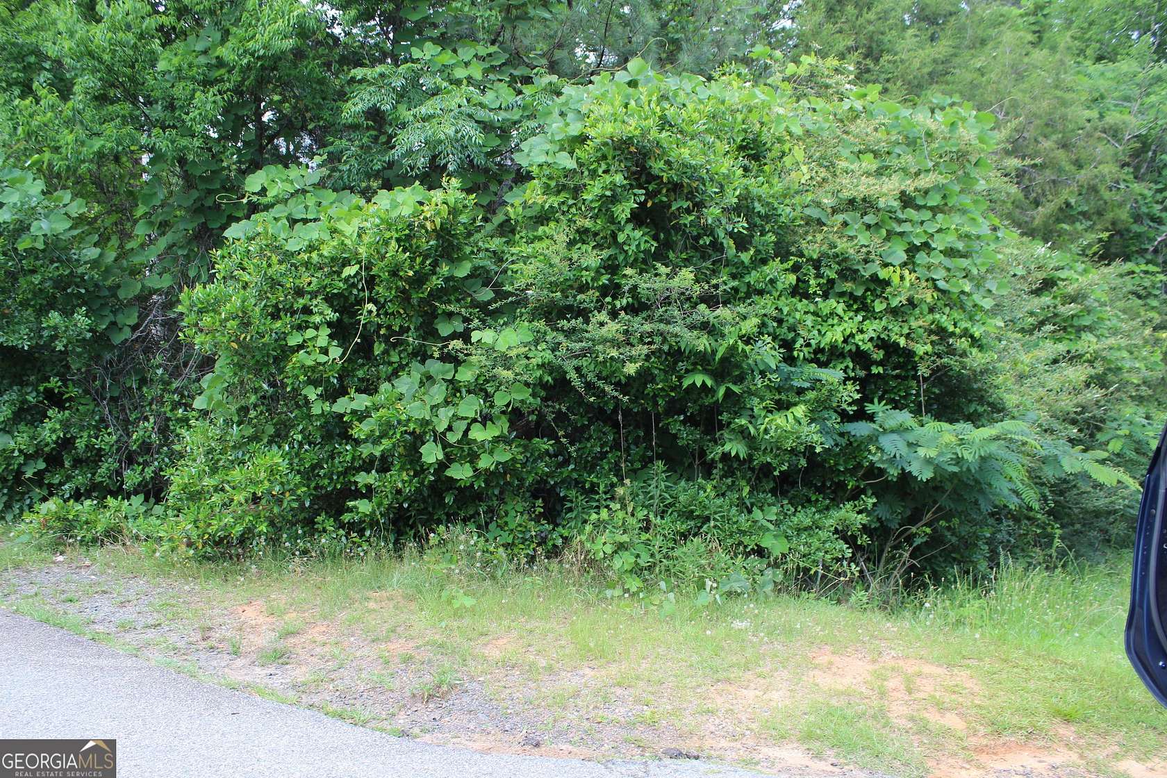 1 Acre of Land for Sale in Lumpkin, Georgia