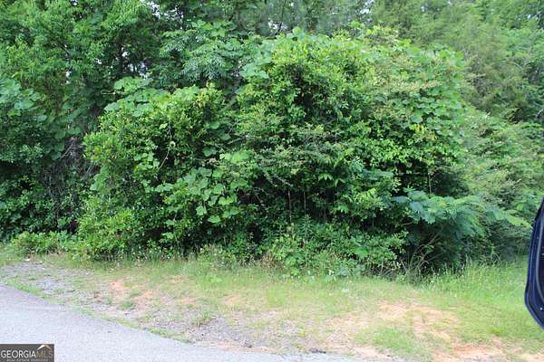 1 Acre of Land for Sale in Lumpkin, Georgia
