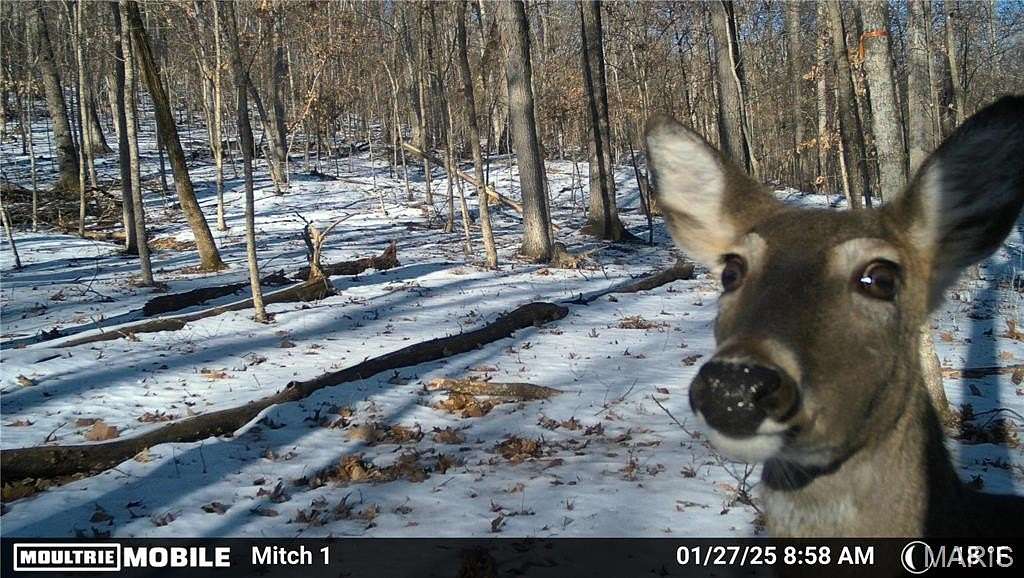 6.15 Acres of Residential Land for Sale in House Springs, Missouri