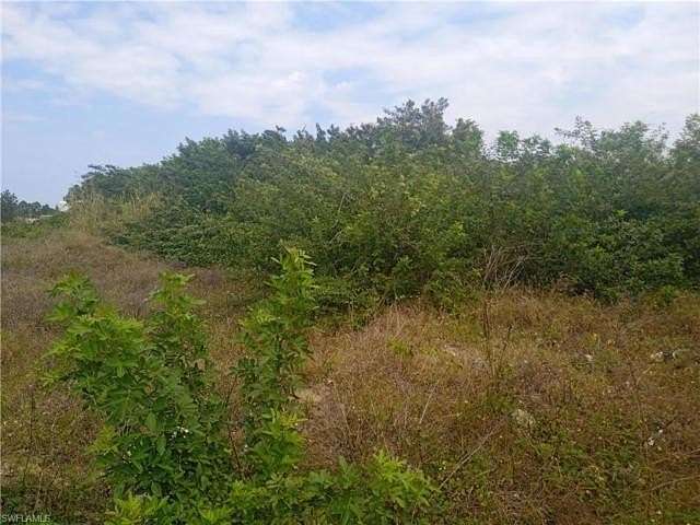 Residential Land for Sale in Lehigh Acres, Florida