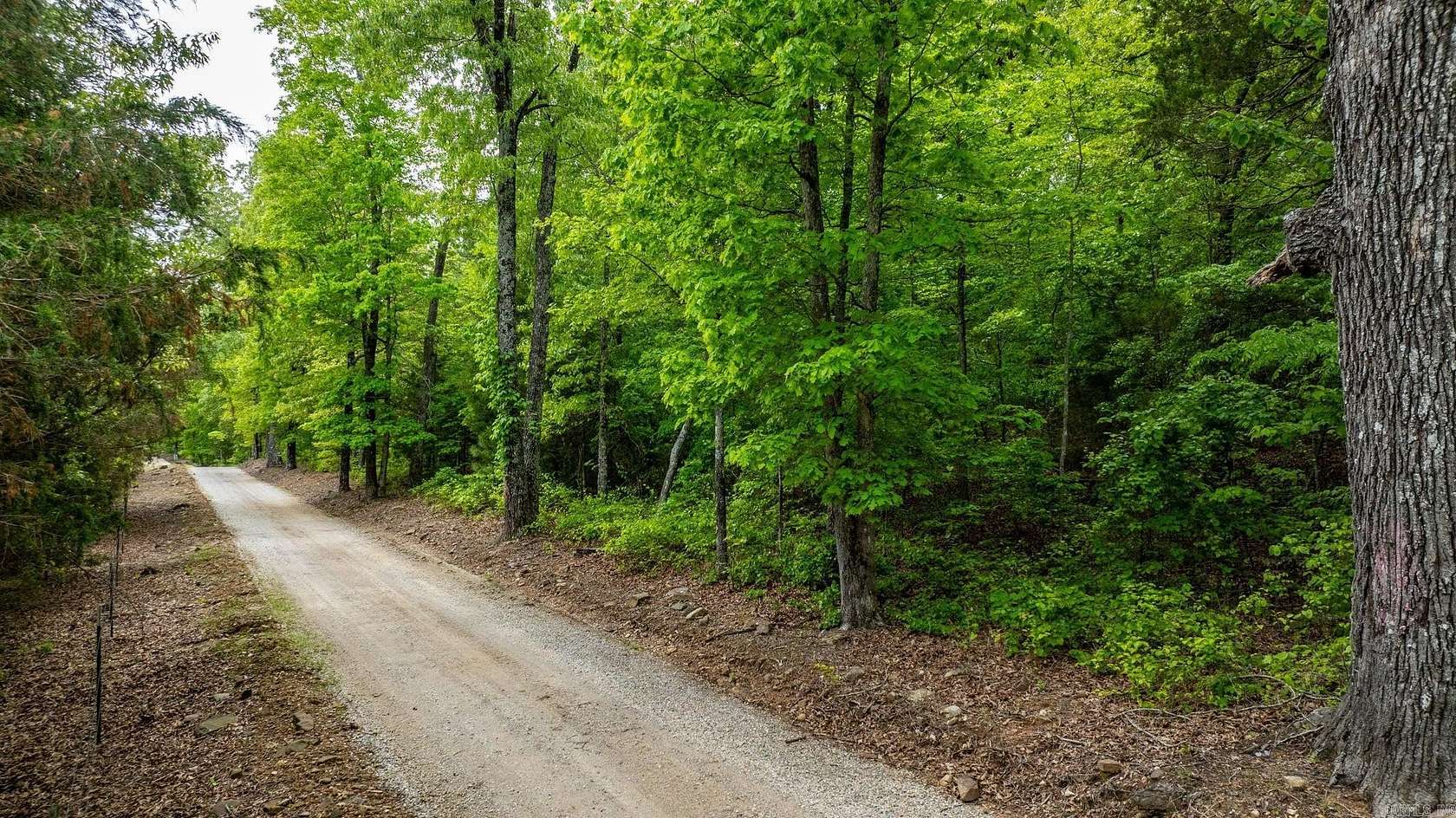 81.2 Acres of Recreational Land for Sale in Mountain View, Arkansas